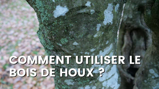 BOIS DE HOUX : Comment l'utiliser ?