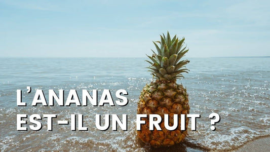L’ANANAS EST IL UN FRUIT ?