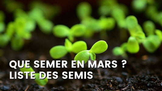 QUE SEMER EN MARS ?