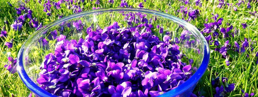 sirop de violette recette bio maison facile