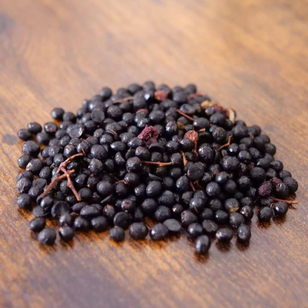 comment faire germer des graines de poivrier du sichuan zanthoxylum piperitum avec les conseils de culture de monde vegetal