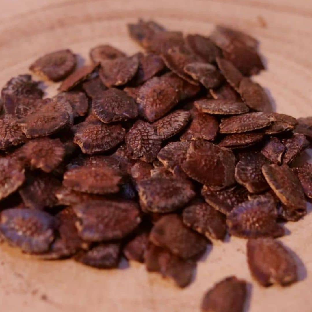 GRAINES - Passiflore Géante (Passiflora quadrangularis)