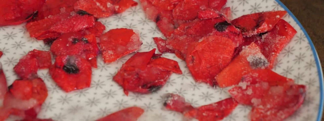 Comment faire des pétales de coquelicot cristallisés la recette en vidéo