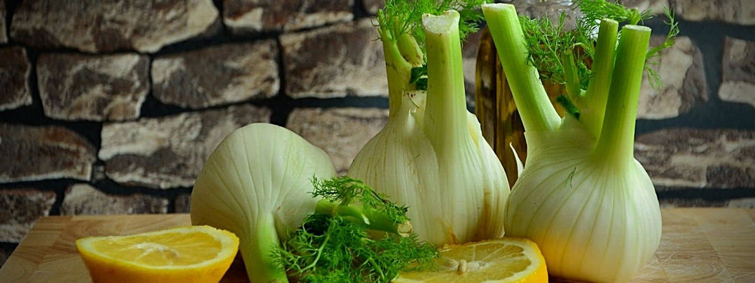 Contre indication du fenouil