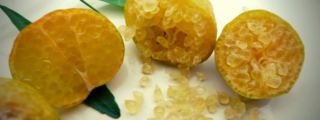 L'Orange Caviar ou Erémorange (Citrus glauca x Citrus sinensis) agrume insolite et rare