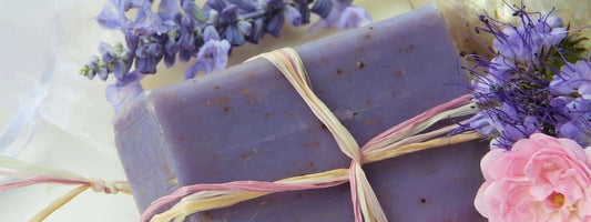 Saponine et saponines pour faire des savons et lessives naturelles