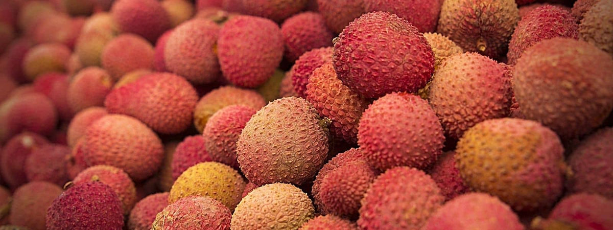 fruit qui commence par l comme le litchi