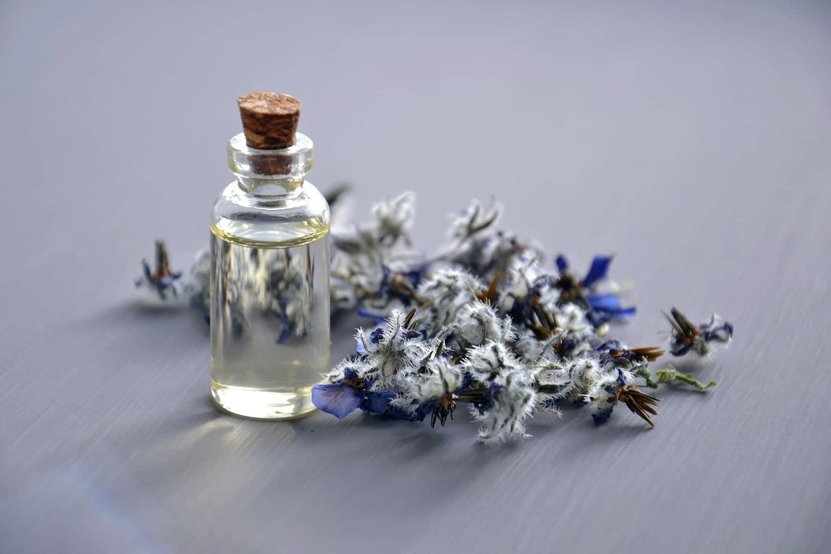 huile de bourrache et prise de poids : comment l'huile obtenue avec des plants de bourraches peut vous aider à perdre du poids ?