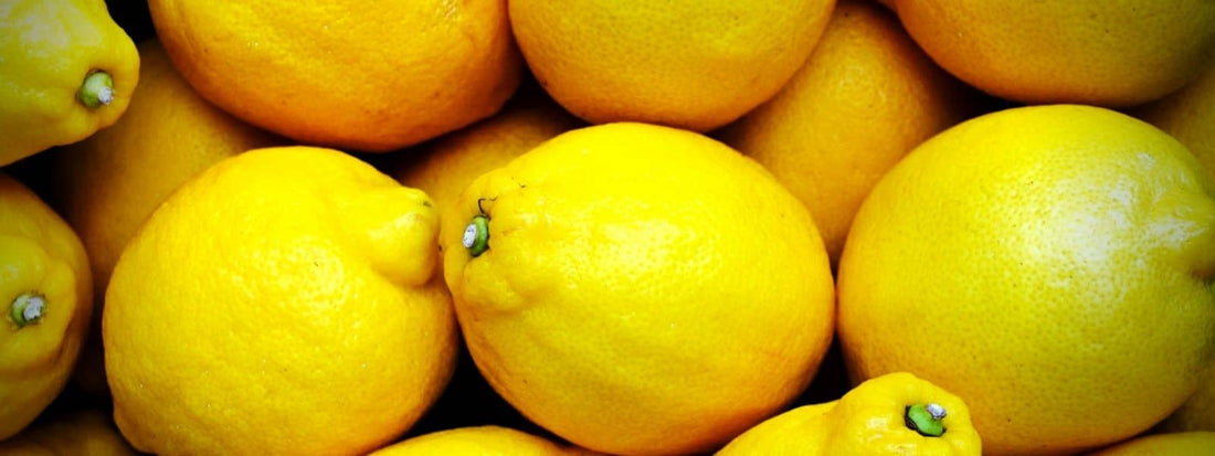 les variétés de citrons (citrus x limon) yuzu, lime cédrats