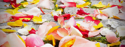 que faire avec des pétales de rose