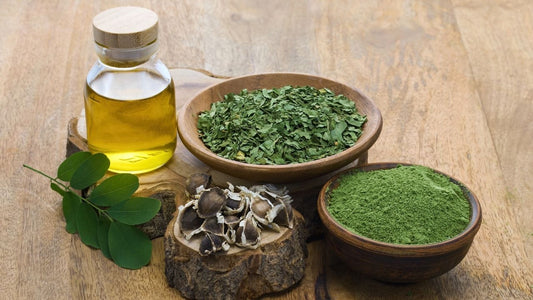 Bienfaits du moringa : vertus, usages et culture de l’arbre miracle