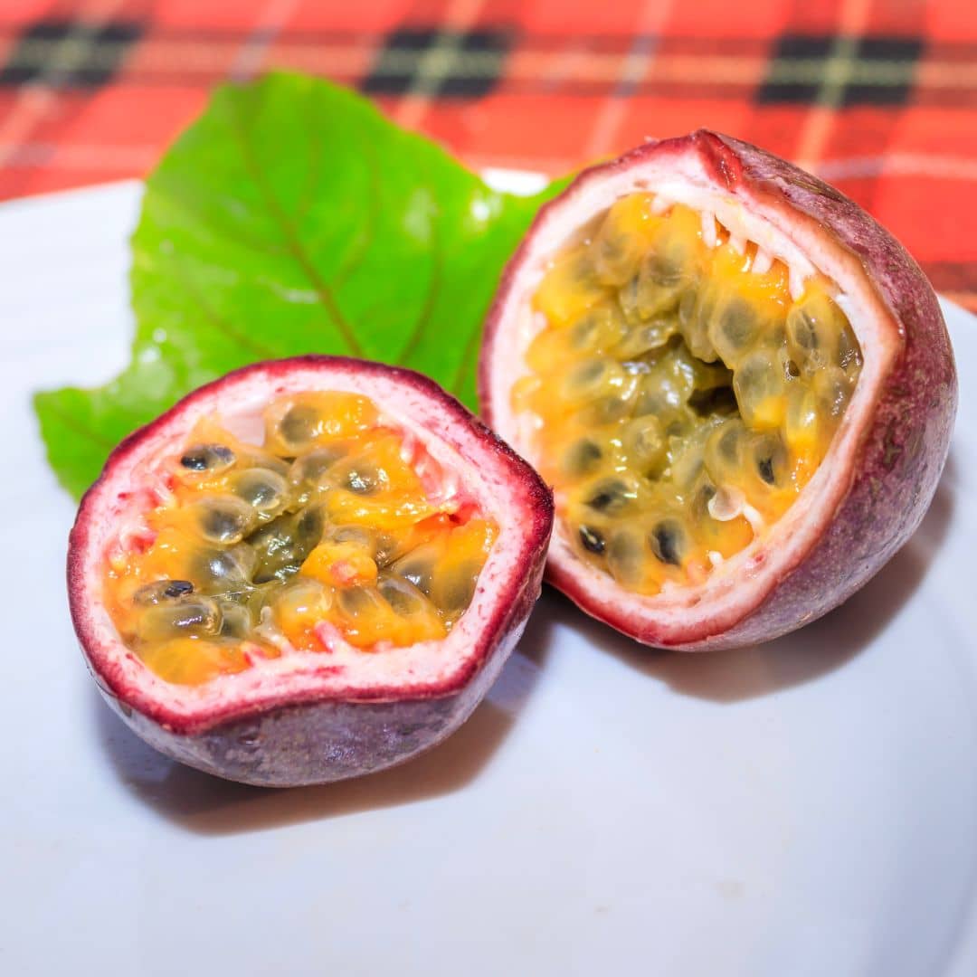 BABY PLANT fruit de la passion passiflora edulis à cultiver monde vegetal