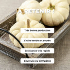Comment cultiver la courge baby boo à partir de graines avec Monde Végétal