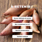 Comment semer et cultiver l'échalion zébrune monde végétal