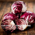 Chicorée Rouge de Vérone
