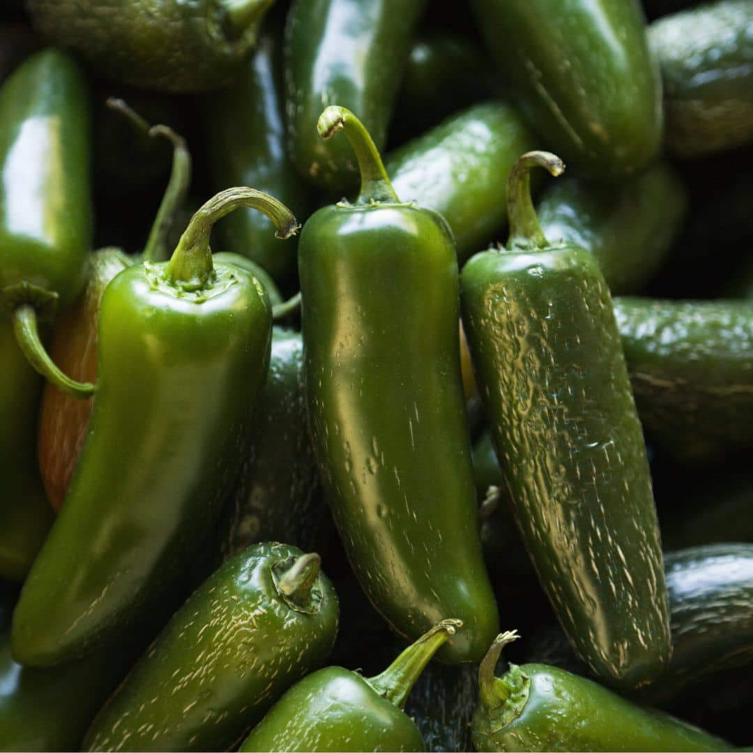 Piment Jalapeño — Graines