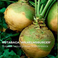Rutabaga Wilhelmsburger