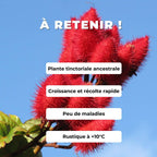GRAINES  Bixa orellana roucou roucouyer plante rare monde vegetal comment semer et cultiver les semences
