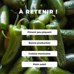 GRAINES Piment Jalapeño capsicum annuum plantes rares monde végétal comment le semer et le cultiver