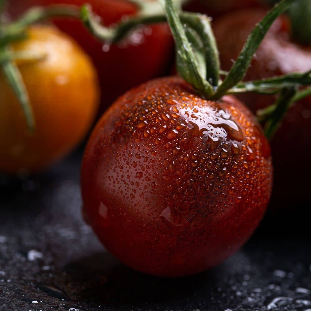GRAINES Tomate Cerise Black Cherry Solanum lycopersicum monde vegetal
