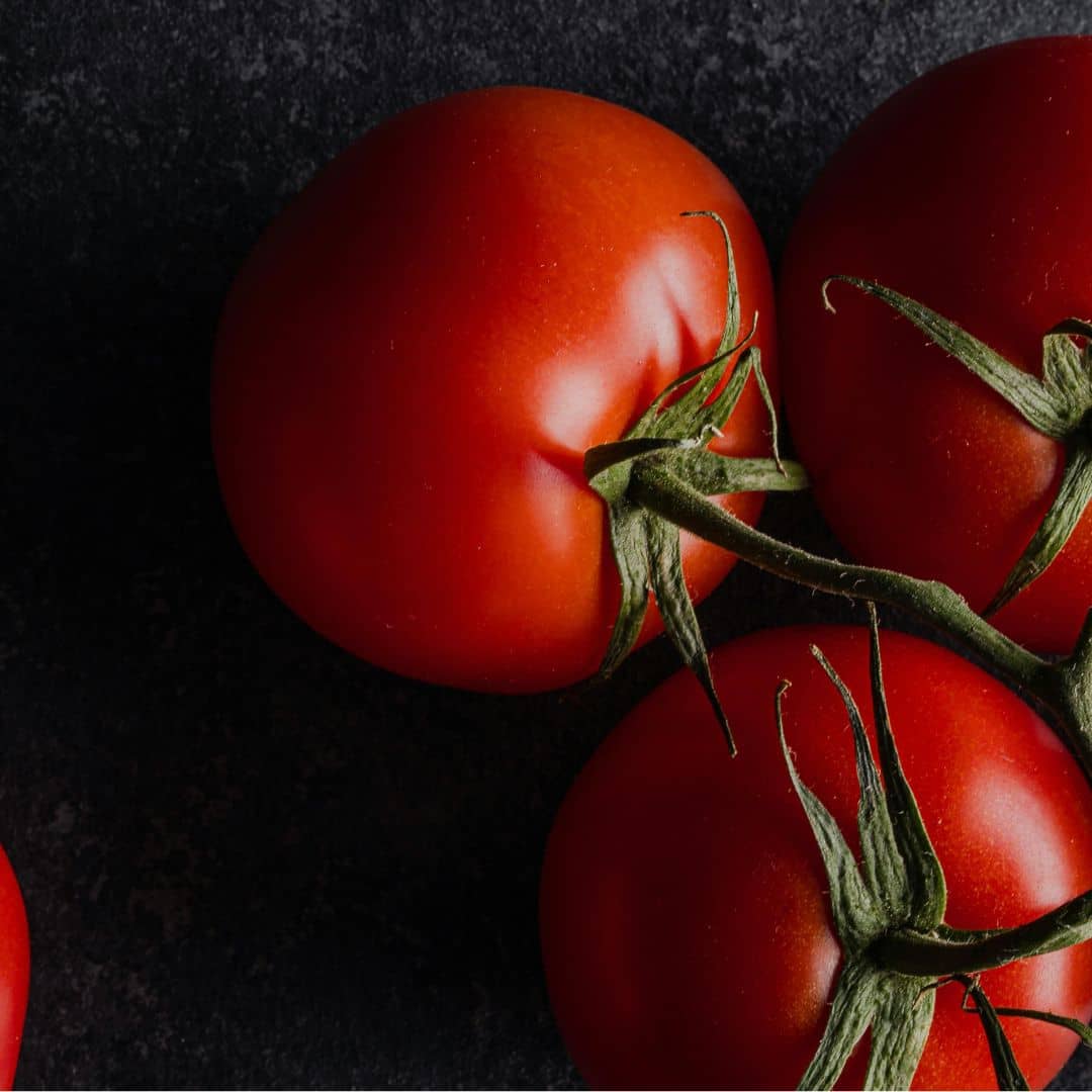 GRAINES tomate saint pierre solanum lycopersicum monde végétal