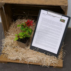 PLANT Monarda didyma monde végétal