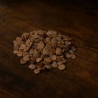 Viorne obier Viburnum opulus graines à semer pour cultiver cet arbuste sauvage