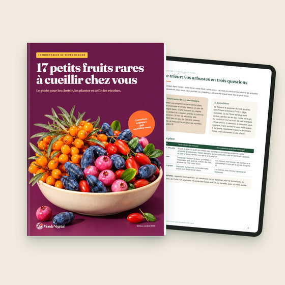Ebook « 17 petits fruits rares à cueillir chez vous », couverture et le trieur sur tablette