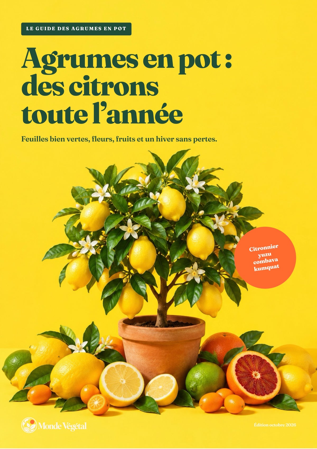 Couverture de l’ebook « Agrumes en pot : des citrons toute l’année »
