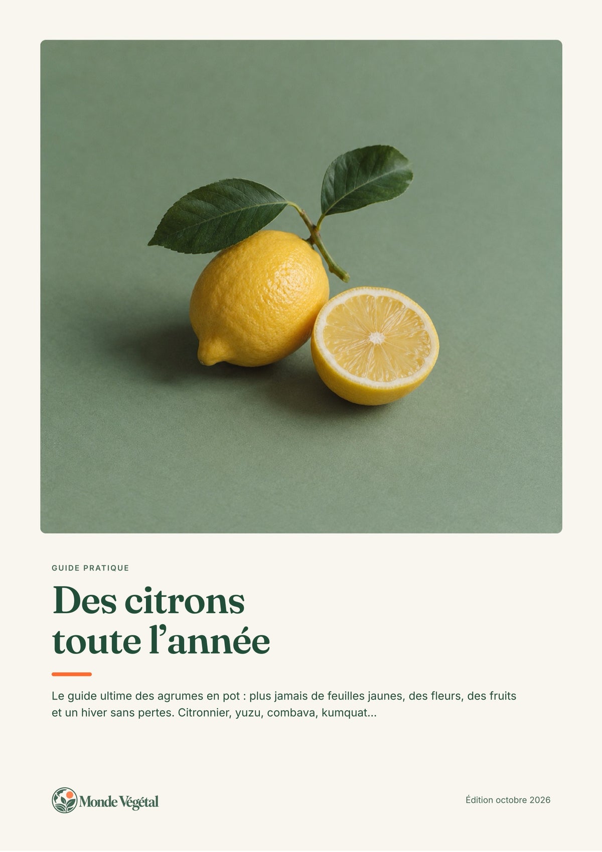 Couverture de l’ebook « Des citrons toute l’année »
