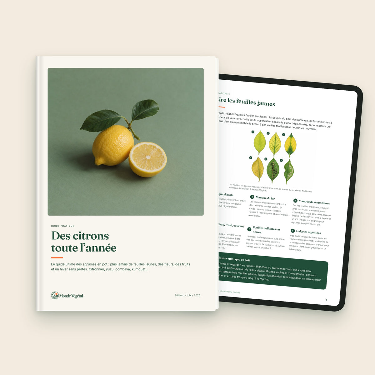 Ebook « Des citrons toute l’année », couverture et page sur tablette