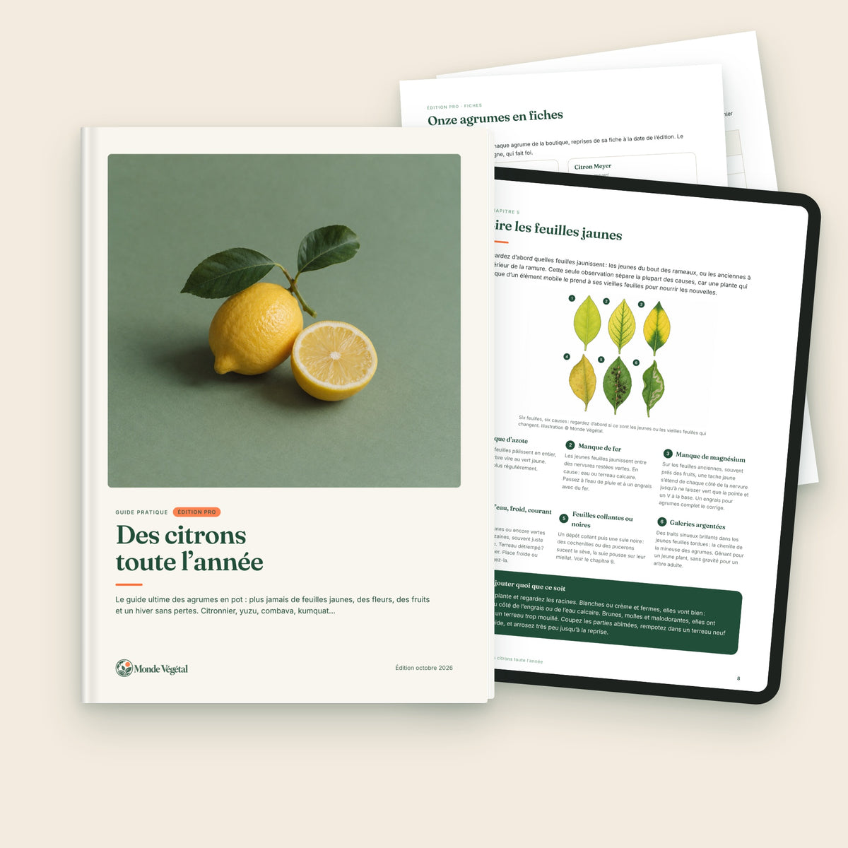 Édition Pro de l’ebook « Des citrons toute l’année », avec ses pages à imprimer