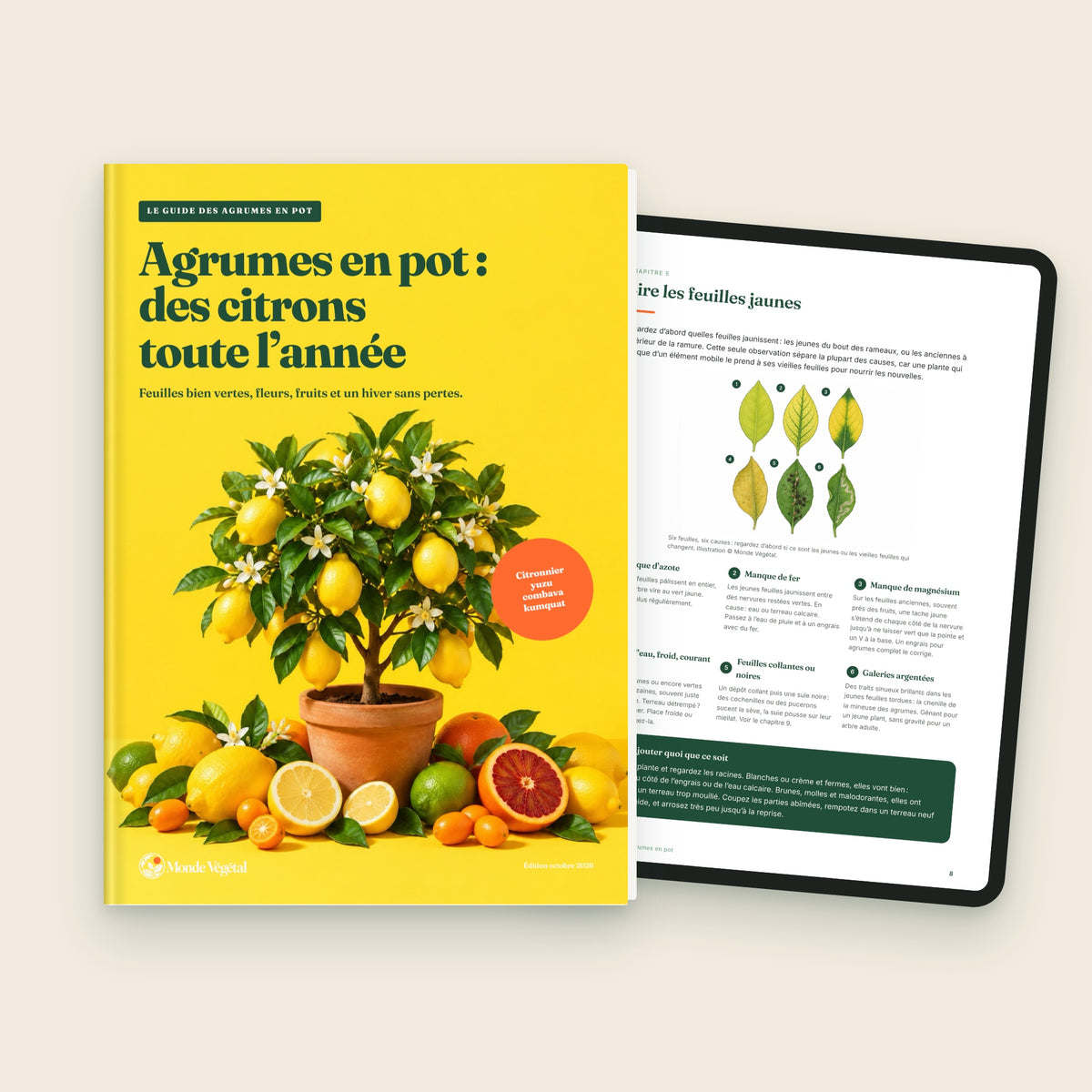 Ebook « Agrumes en pot : des citrons toute l’année », couverture et page sur tablette