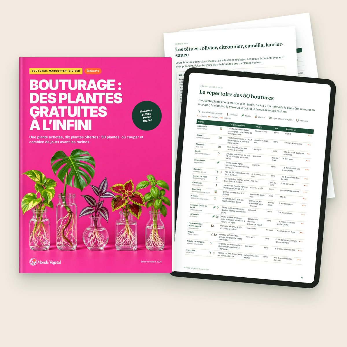 Édition Pro de l’ebook « Bouturage », avec la haie gratuite et les plantes têtues
