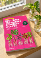 L’ebook « Bouturage » posé sur un rebord de fenêtre, près de boutures dans des bocaux d’eau