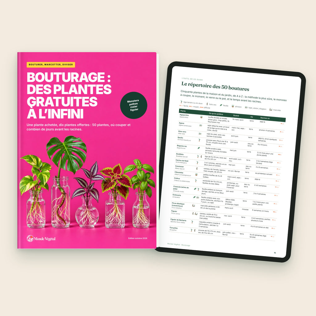 Ebook « Bouturage : des plantes gratuites à l’infini », la couverture et le répertoire des 50 boutures sur tablette