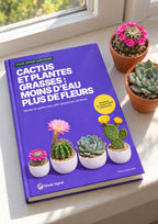 L’ebook « Cactus et plantes grasses » posé sur un rebord de fenêtre ensoleillé, près d’un mammillaria fleuri et d’une echeveria