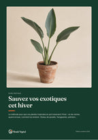 Couverture de l’ebook « Sauvez vos exotiques cet hiver »