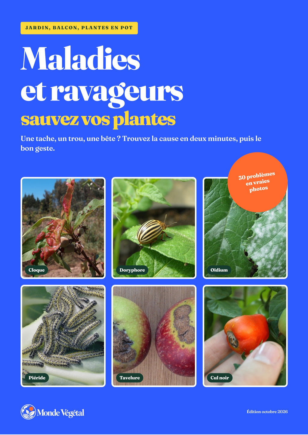 Couverture de l’ebook « Maladies et ravageurs, sauvez vos plantes » : six vraies photos de maladies et de ravageurs