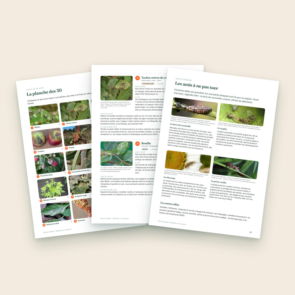Trois pages intérieures de l’ebook : la planche des 30 problèmes en photos et des fiches