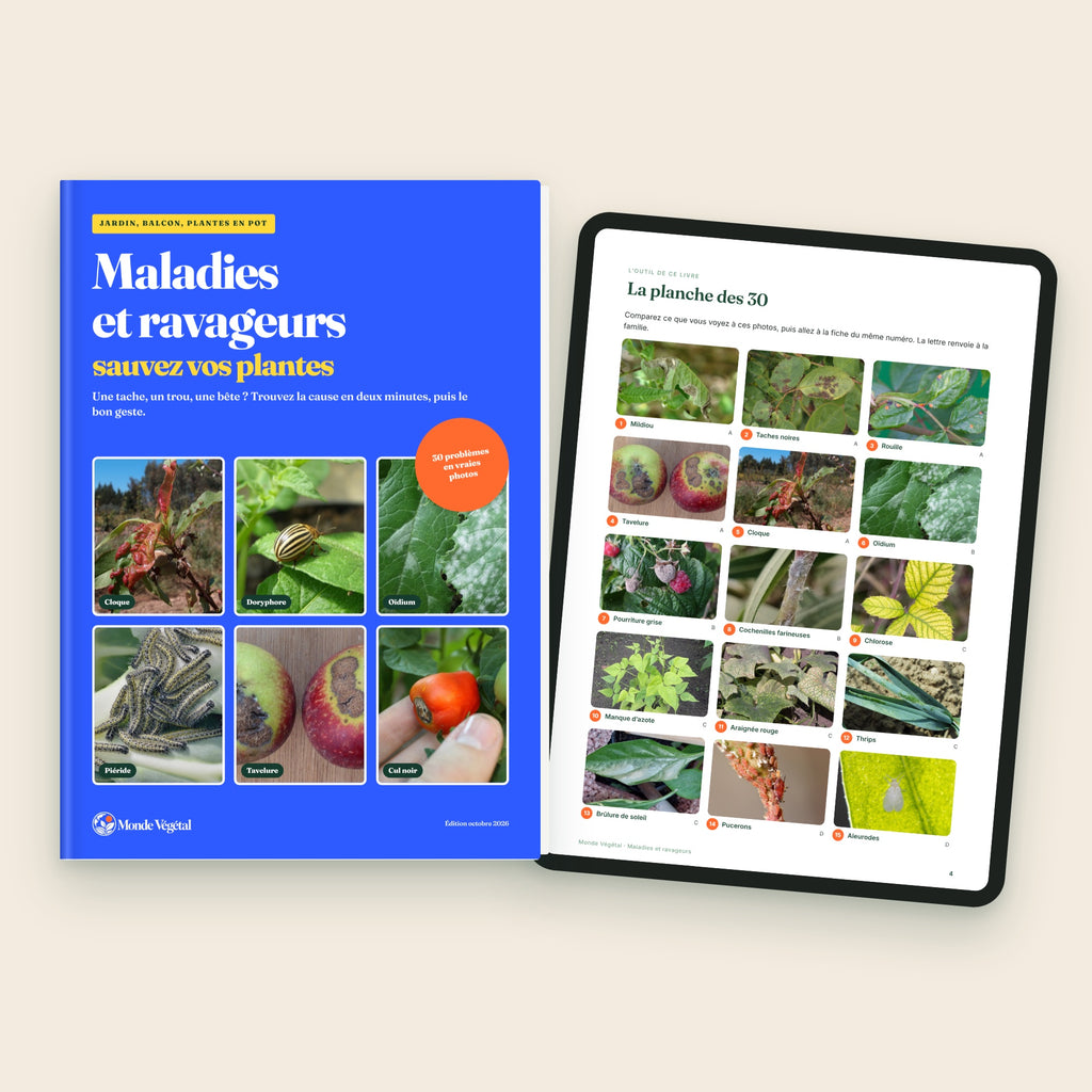 Ebook « Maladies et ravageurs, sauvez vos plantes », la couverture et la planche des 30 problèmes sur tablette