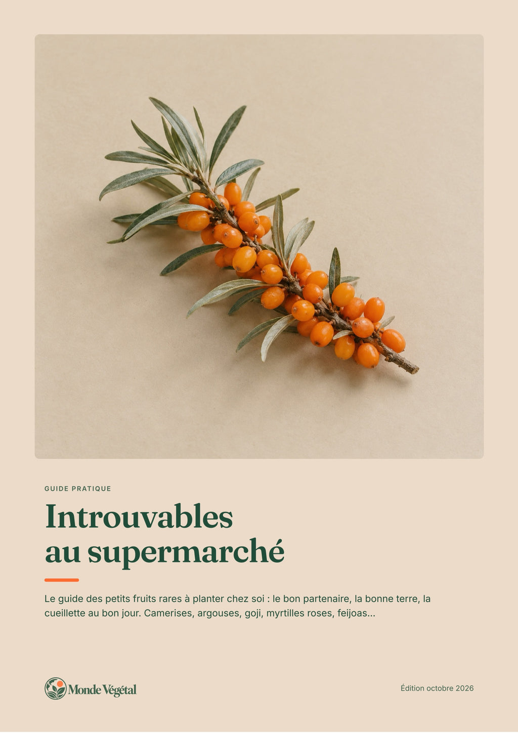 Couverture de l’ebook « Introuvables au supermarché »