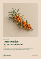 Couverture de l’ebook « Introuvables au supermarché »