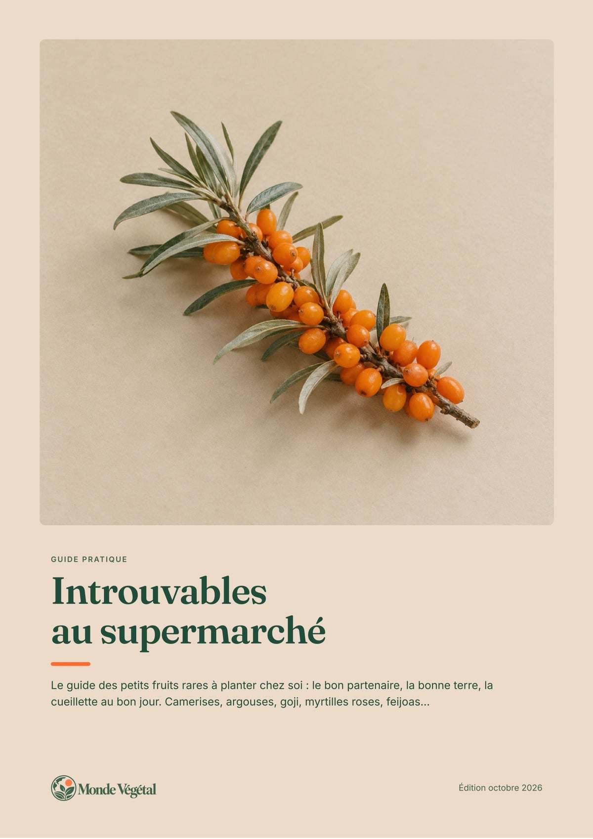 Couverture de l’ebook « Introuvables au supermarché »