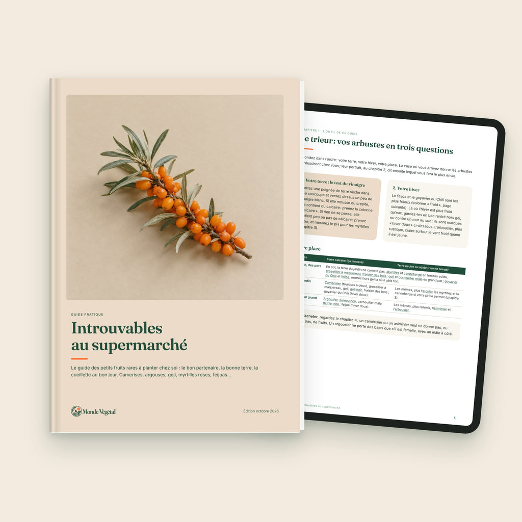 Ebook « Introuvables au supermarché », couverture et le trieur sur tablette