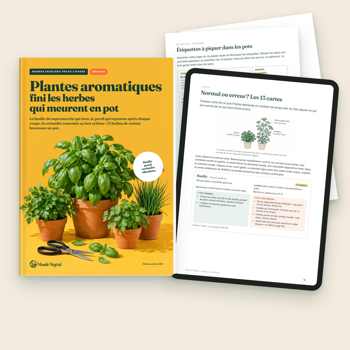 Édition Pro de l’ebook « Plantes aromatiques », avec le basilic sous lampe et les étiquettes à piquer