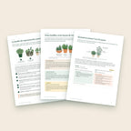 Trois pages intérieures de l’ebook sur les plantes aromatiques : le basilic du supermarché, les trois familles, les cartes