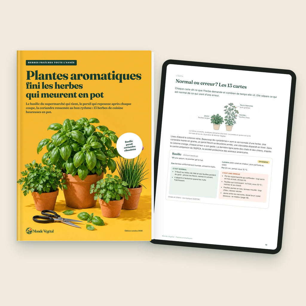 Ebook « Plantes aromatiques : fini les herbes qui meurent en pot », la couverture et les cartes « Normal ou erreur ? » sur tablette