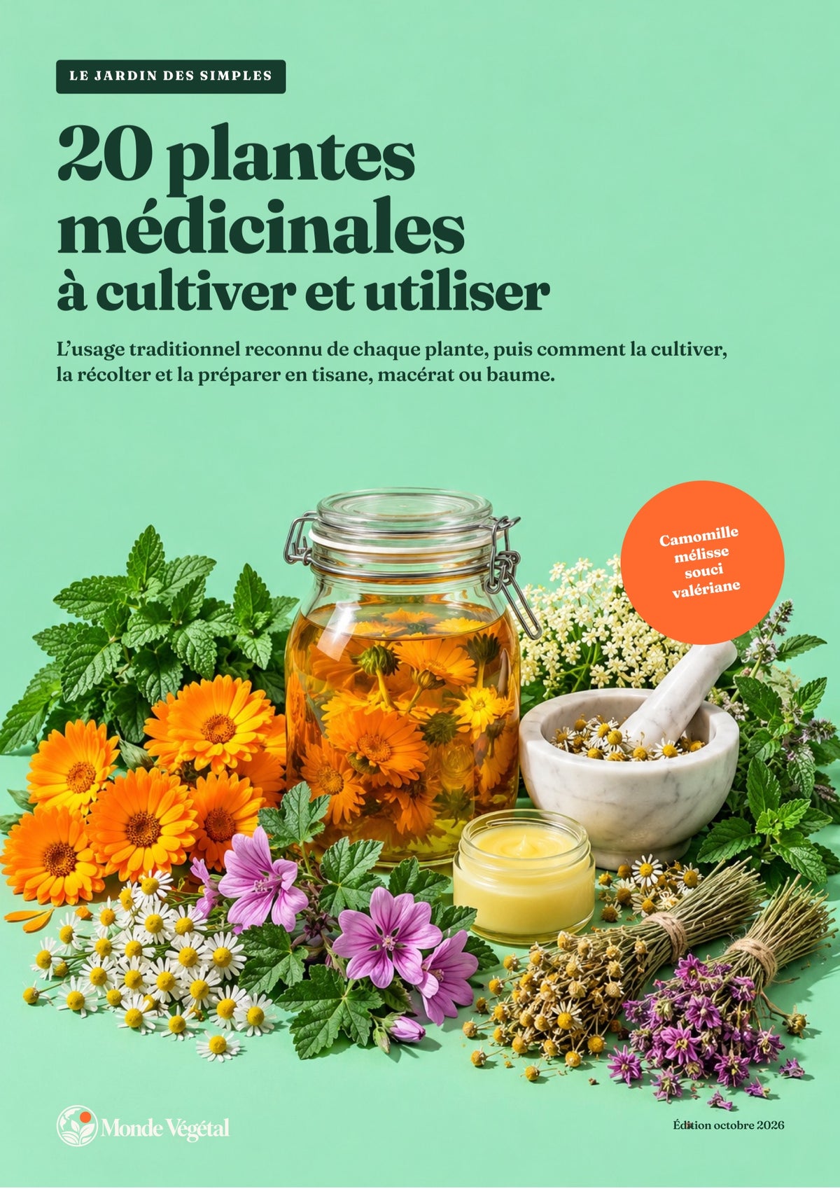 Couverture de l’ebook « 20 plantes médicinales à cultiver et utiliser »