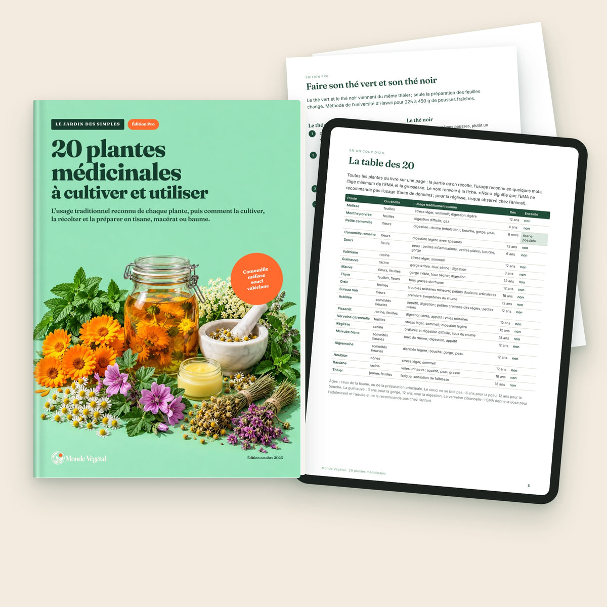 Édition Pro de l’ebook « 20 plantes médicinales », avec le jardin dessiné et le thé maison